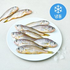 일품 법성포 이력추적 참조기 (냉동), 1개, 600g(중/10마리)