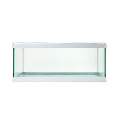 와이피 낮은어항, 화이트, 1개