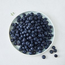수플린 미국산 블루베리, 1개, 500g