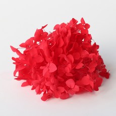 로맨틱노벰버 프리저브드 플라워 수국, 레드