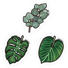 써니엔조이 제로웨이스트 셀룰로스 나뭇잎 수세미 3종 세트, 1세트