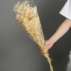 소니오 프리저브드플라워 소형 안개꽃 꽃다발, 09 화이트