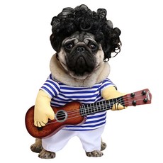 Posiluv 寵物服裝, 吉他手