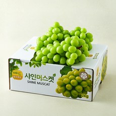 참별미소 성주 샤인머스캣 3~4수, 1개, 2kg