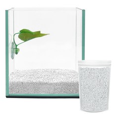 Aquatera 鬥魚玻璃魚缸 + 鬥魚床 + 彩石 1kg CH-G150, 白色(彩石)