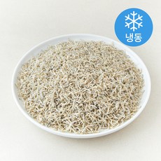 완도건강해 볶음용 지리 멸치 (냉동), 1개, 1.5kg