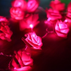 PARTYHAE 玫瑰花LED燈串 20顆, 粉色的, 1個
