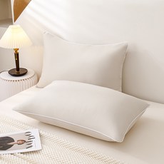 SOHEIM 可水洗四季拉鍊枕頭, 沙米色, 2個