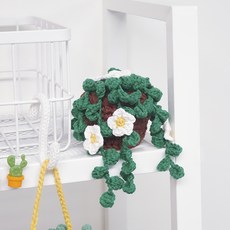 Mellowstory Stationery 編織套組 Jjongjjong 豆蘭盆栽, 混合色, 1套