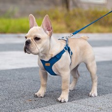 X型麂皮中小型犬胸背帶, 深藍色