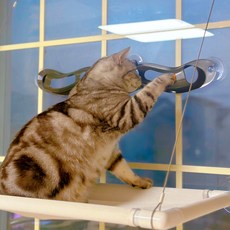 MAAH 貓咪吸盤式軌道球獨自玩耍玩具 吸盤4入, 黑色, 1個