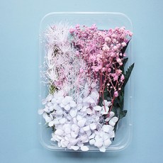 Makemine混合乾燥花盒DIY鳶尾花, 混色