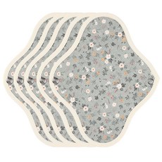 WIZLLY 布衛生棉 野花綠, 小型, 1入, 5個