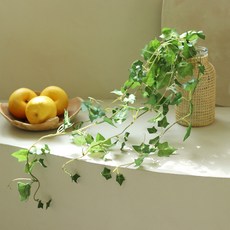 센트바스켓 그린바인 넝쿨조화 + 라탄 화병 세트, 아이비, 1세트