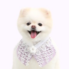 ITS DOG 狗狗翩翩飛舞韓服斗篷, 紫色