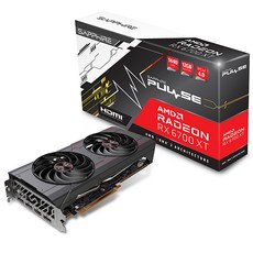 SAPPHIRE 라데온 RX 6700 XT PULSE D6 Dual-X 그래픽카드 12GB (이엠텍)