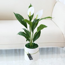 도시정원 조화 스파트필름 화분 대, 혼합색상, 1개