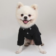 Market A 簡約素色寵物襯衫, 黑色