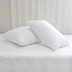 Well Care一般型枕頭芯 2入, 單色