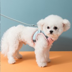 반려동물 야광 하네스 리드줄 세트 XL, 핑크, 1세트