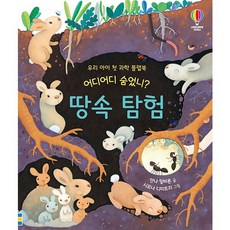USBORNE KOREA 你躲到哪裡去了？ : 地下勘探, 地球上的韓國