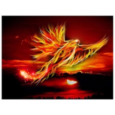 KMELLIE 3D畫框型方形寶石十字繡 DIY 50 x 40 cm, 火鳥, 1個