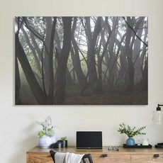 김기춘 생태늪지 사진작가 베스트 포토 노프레임 캔버스 K024