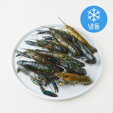 The더착한 민물가재 21~25g (냉동), 1개, 800g