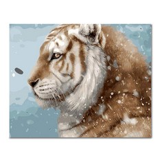 ADICO DIY 繪畫繪畫傑作繪畫 50 x 40cm, 雪中大湖 (PEE12)