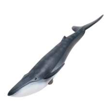 輪子藍鯨硬質模型, 1個