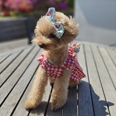 狗狗 by gyoem 格紋蝴蝶結洋裝 + 髮夾套組, 1套, 紅色