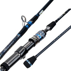 JSCOMPANY 빅쏘드 앤 J4 지깅 낚시대 BC622XH, 혼합색상