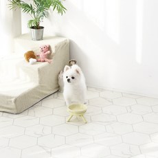 라이팡 반려동물 미끄럼방지 매트, 마블, 1개