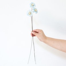 GAPANG 菊花 乾燥花 DRYB210, 06號(藍色)