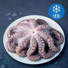 비비수산 깨끗하게 손질한 문어 한마리 (냉동), 1개, 700g