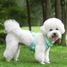 파스텔펫 반려동물 컬러 하네스 리드줄, 민트, 1개