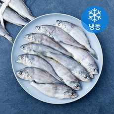 영광법성포 엮어진 굴비 20미 (냉동), 1개, 1kg