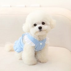 ITS DOG 寵物Riel馬甲式連身裙, 1個, 藍色