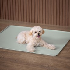 DDASUMI TENT 寵物矽膠餐具 Puppy Square 狗狗餐墊, 薄荷灰, 1個