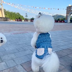 JUBICO 狗狗 Coco 牛仔連身裙, 1個, 淺藍色