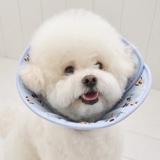BENNYS 迪士尼 Buddy 柔軟頸圈