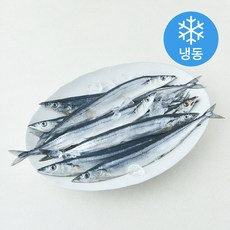 비비수산 원양산 꽁치 (냉동), 1개, 10kg
