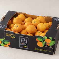 중문농협 황금빛 당도선별 11brix 감귤, 2kg(소과), 1박스