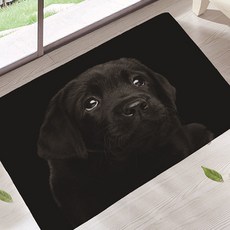 珍愛貓狗肖像畫 浴室玄關廚房地墊, 02, 1個