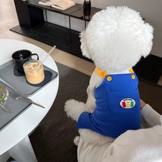 DING DONG PET 寵物迷你熊配色吊帶褲, 1個, 藍色