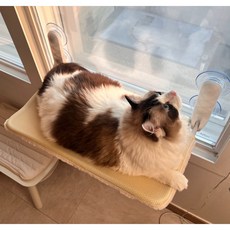 Maaa 貓咪四季雙面窗戶吊床, 1個, 混合顏色