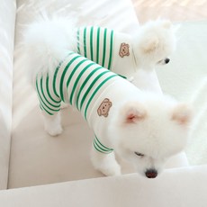 강아지 세인트곰 올인원 HDAL00320, 그린, 1개