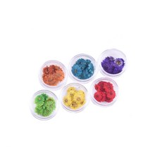 Rainbow Mist Dry Flower Nail 新鮮壓花套組 6 件, 紅、黃、紫、綠、藍、橙, 1套