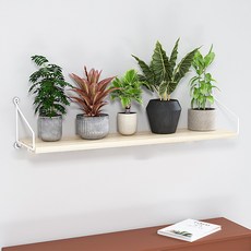 Black Pig Shop壁掛式迷你花盆置物架, 一層, 4型