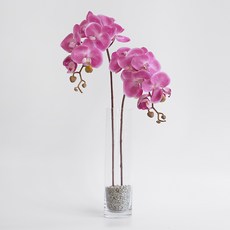 BLOOMING&ME 人造蝴蝶蘭+簡約長花瓶套組, 粉色（人造花）, 1套